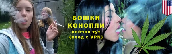 тгк Саяногорск