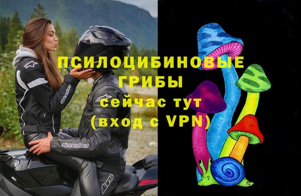 тгк Саяногорск