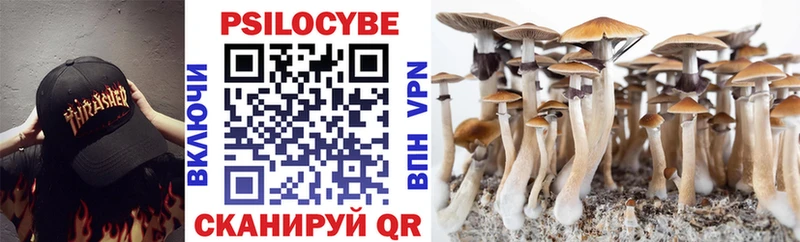 Псилоцибиновые грибы ЛСД  Купить где  Староминская 